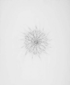 Untitled (Whirling #2), 2009
