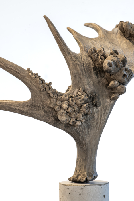 SeaShed (Moose) 2026 (detail)