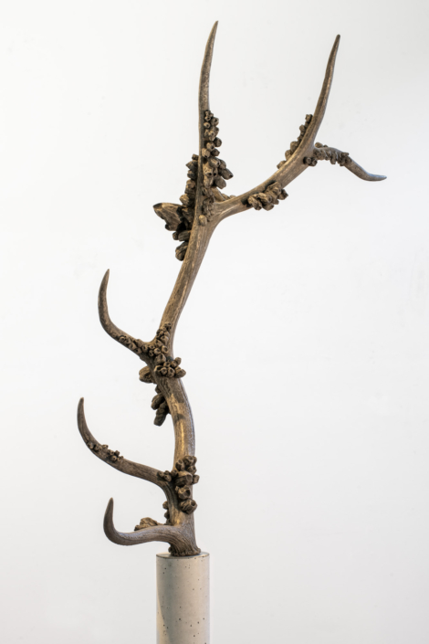 SeaShed (Elk) 2026 (detail)